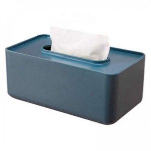 Manufacturer Custom Injection Molds Modern Fashion Designs Plastic Tissue Box
